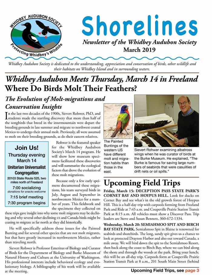 March 2019 (Copy)