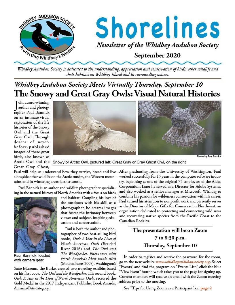 September 2020  (Copy)