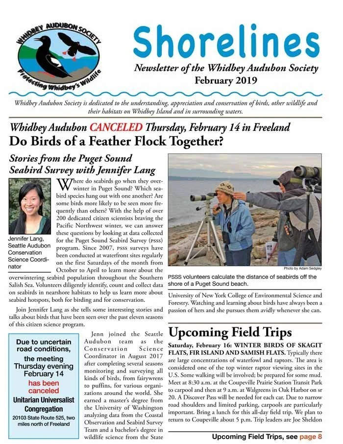 February 2019 (Copy)