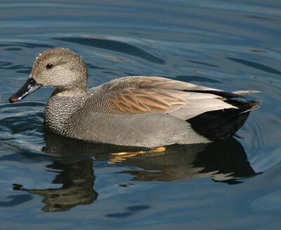 Field Trip Report: Freeland Small Sit