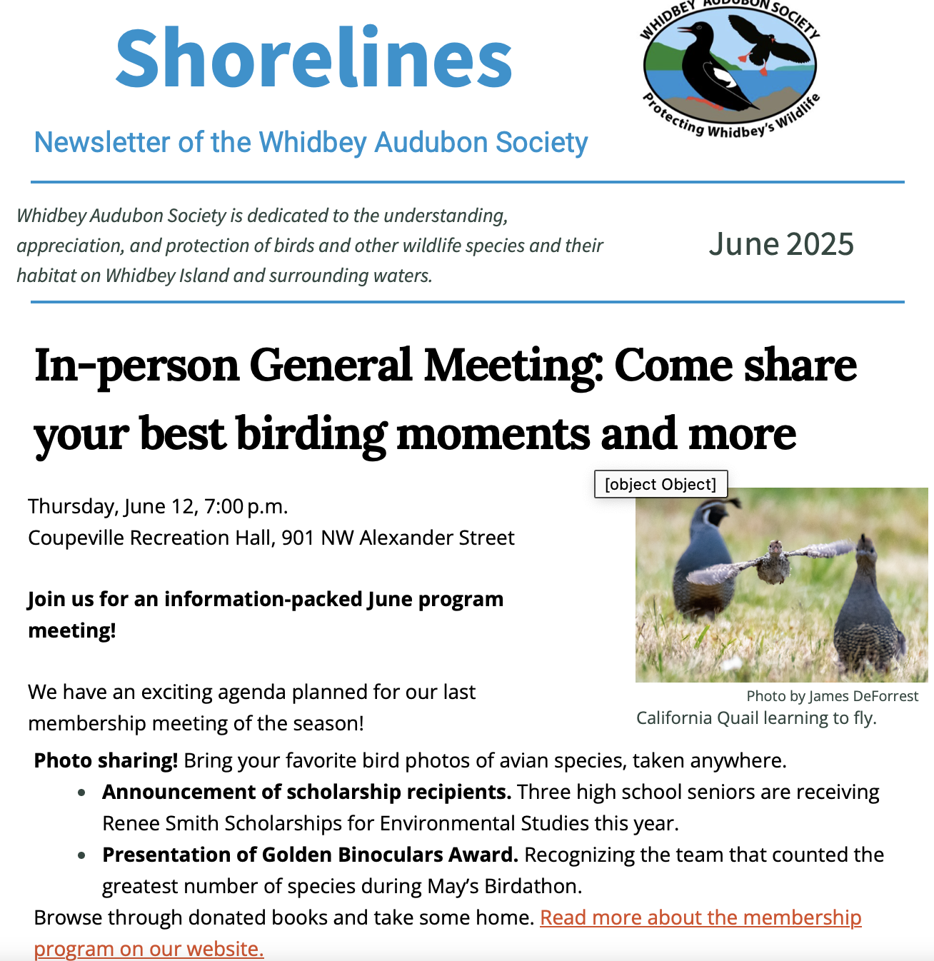 June 2025 Shorelines