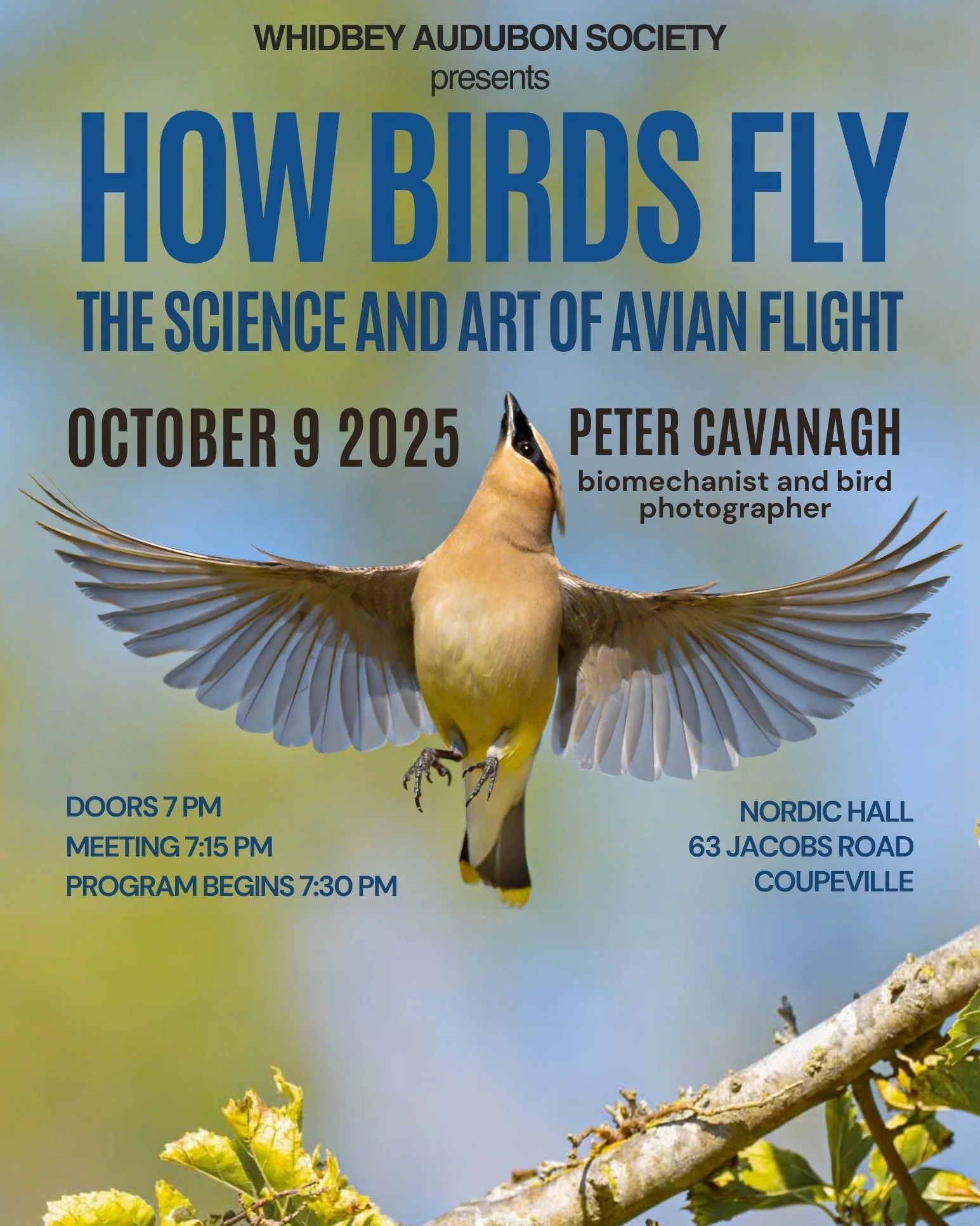October 9, 2025 – How Birds Fly