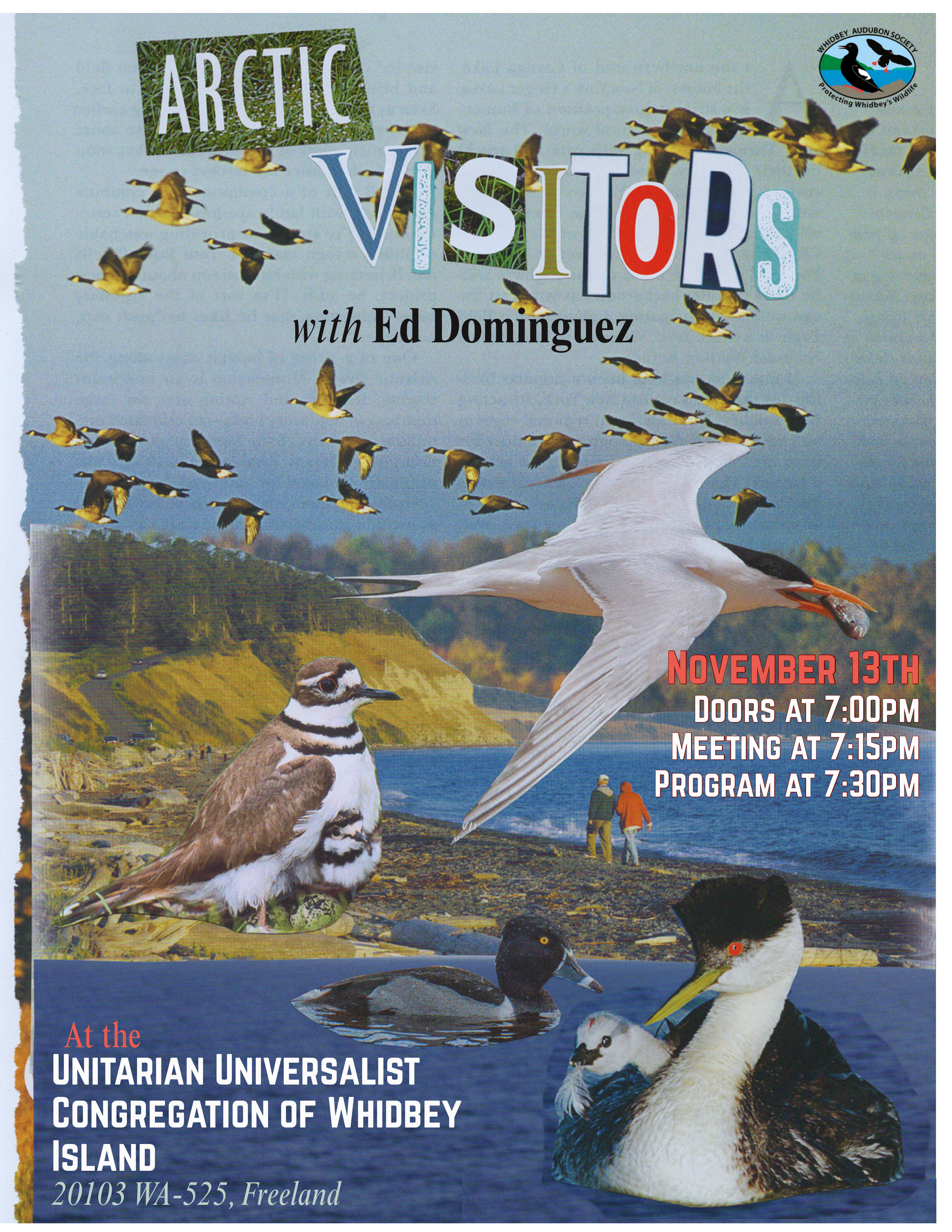 November 13, 2025 – Arctic Visitors