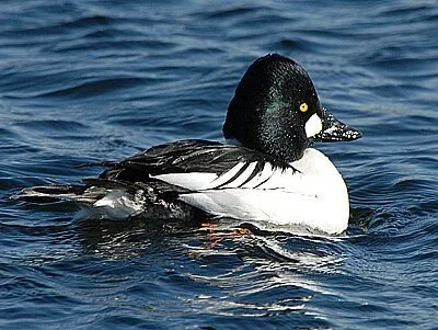 Small Sit Hidden Beach — Field Trip