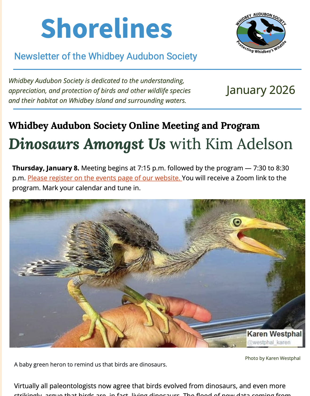 January 2026 Shorelines