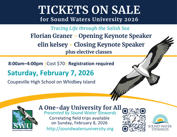 Sound Waters University