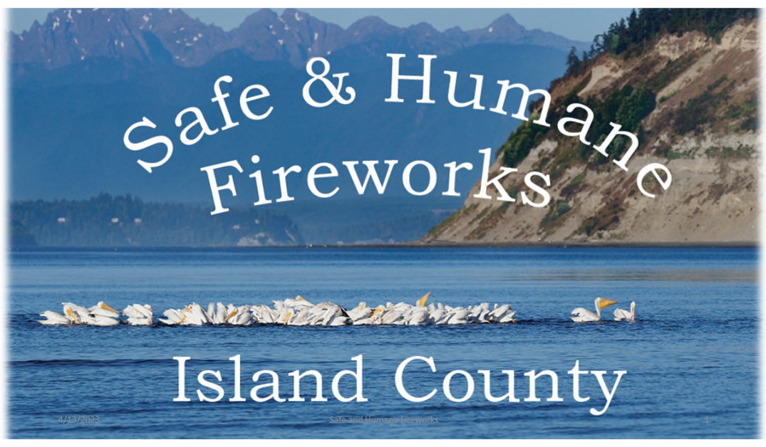 Support the “No Consumer Fireworks” Campaign