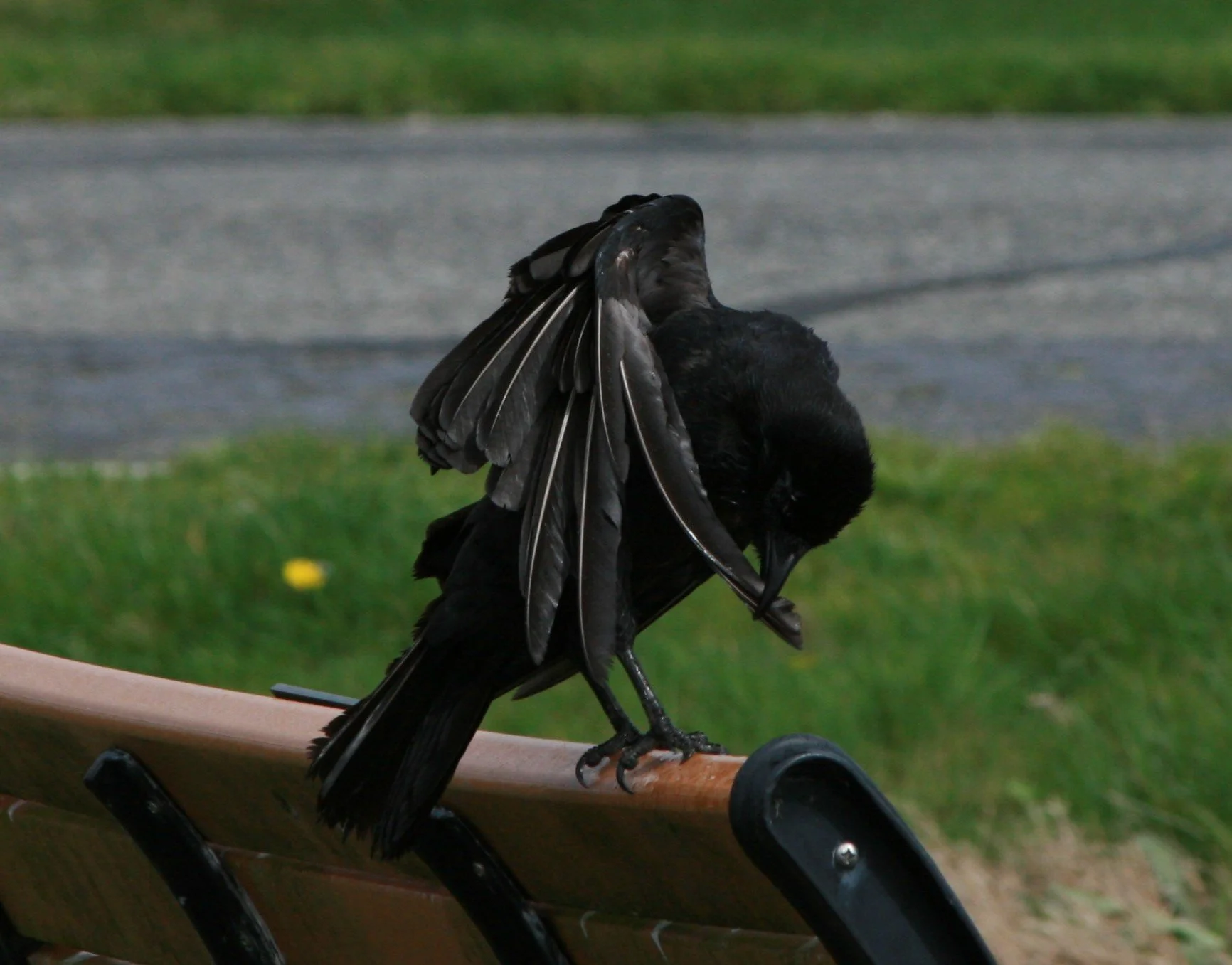 Small Sit at Freeland County Park