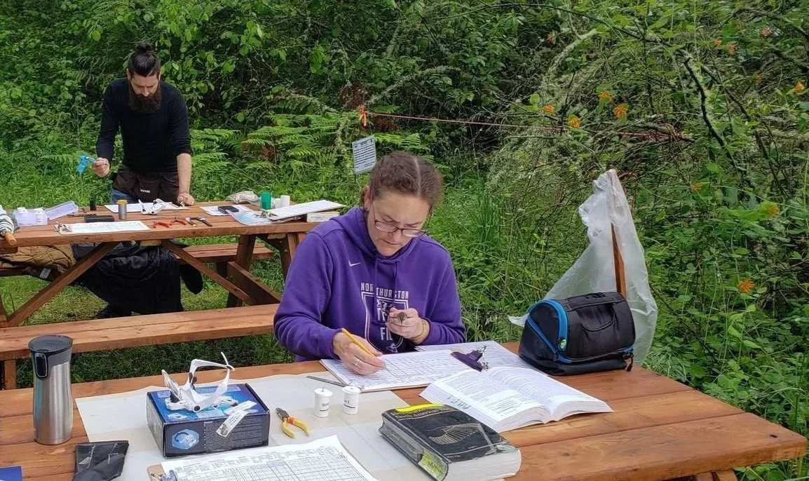 General Meeting and Program: Puget Sound Bird Observatory