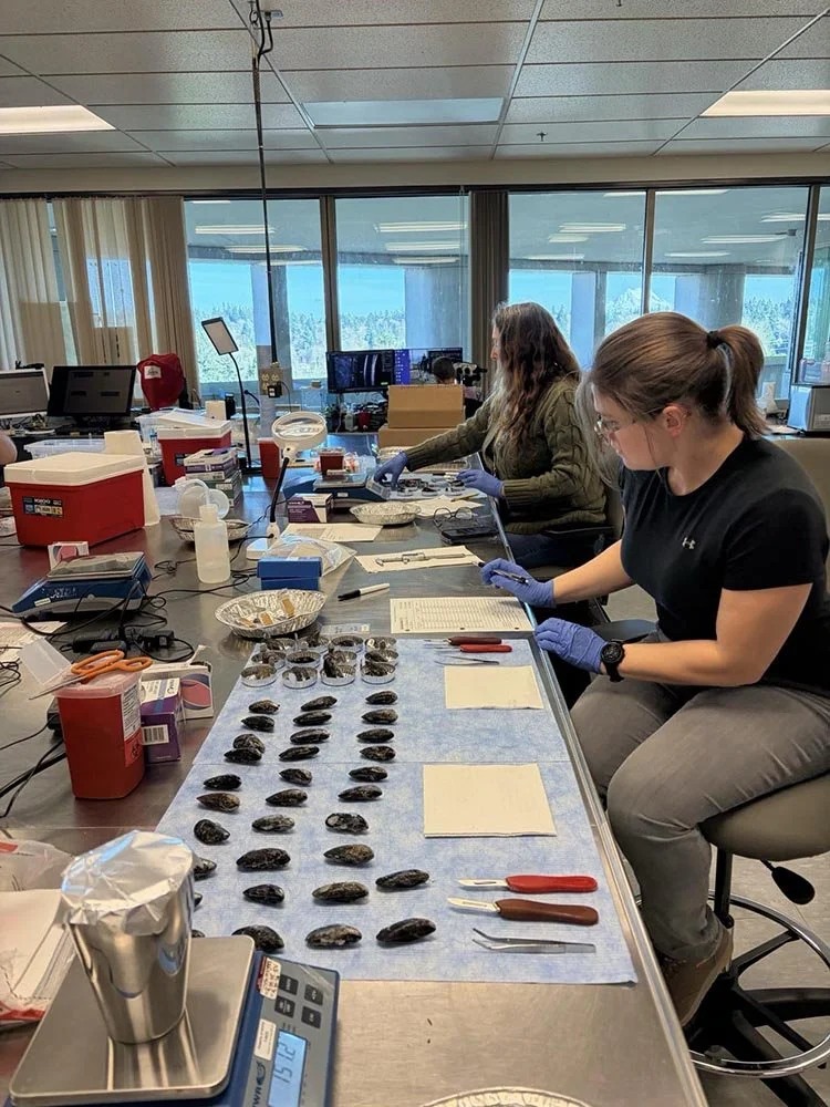 Deer Lagoon is a Site for Mussel Watch Contaminant Monitoring&nbsp;