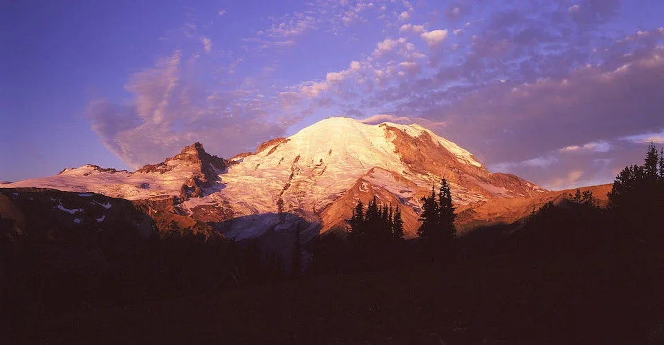 Birding Mount Rainier Campout