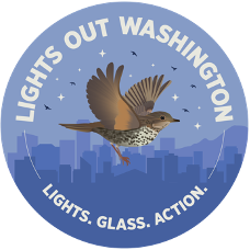 “Lights Out!” to Save Birds