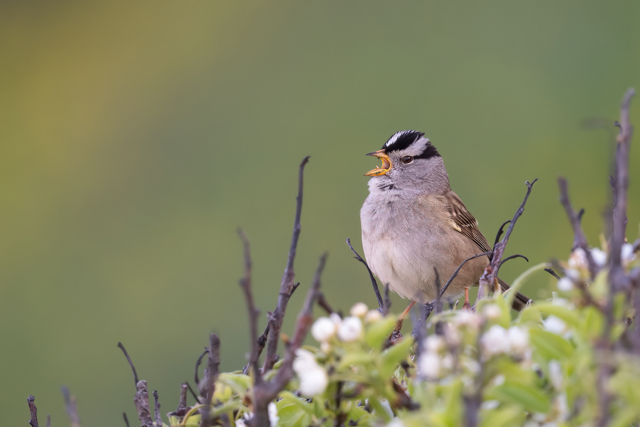 First Members-Only Bird Photography Class Posts Huge Success