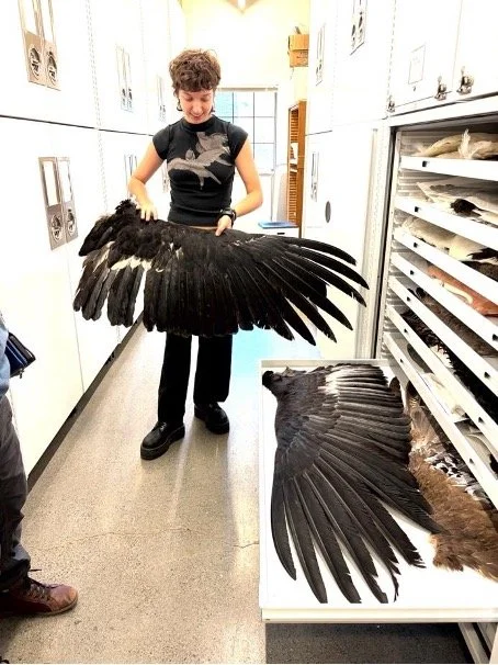 Behind-the-Scenes Visit at the Puget Sound Museum of Natural History