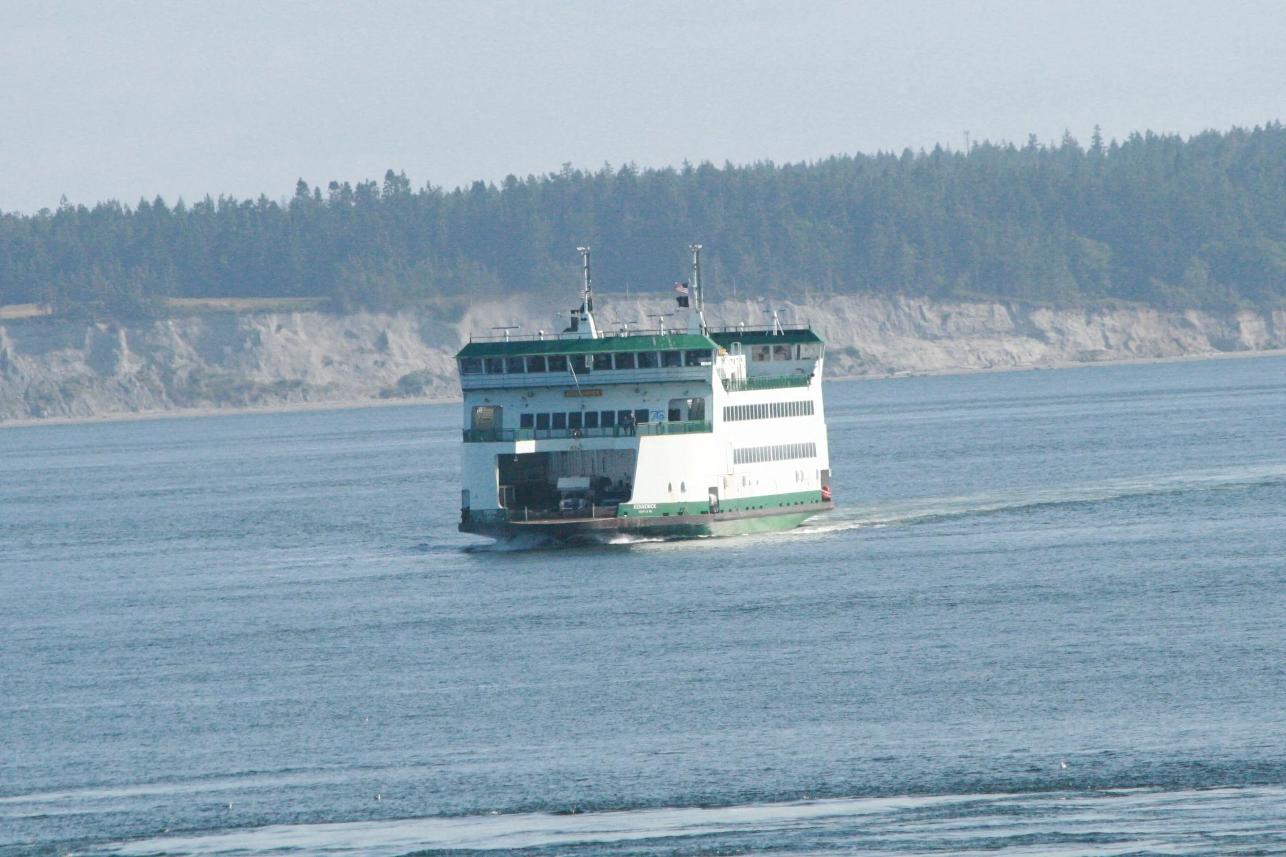 Poor Man’s Pelagic Boat Trip
