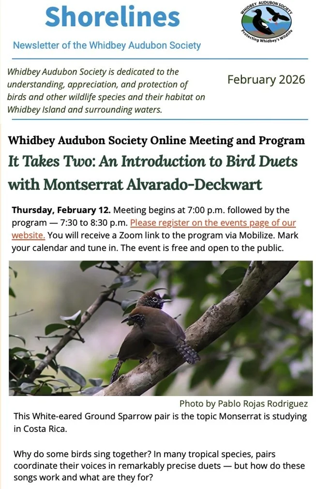 February 2026 Shorelines