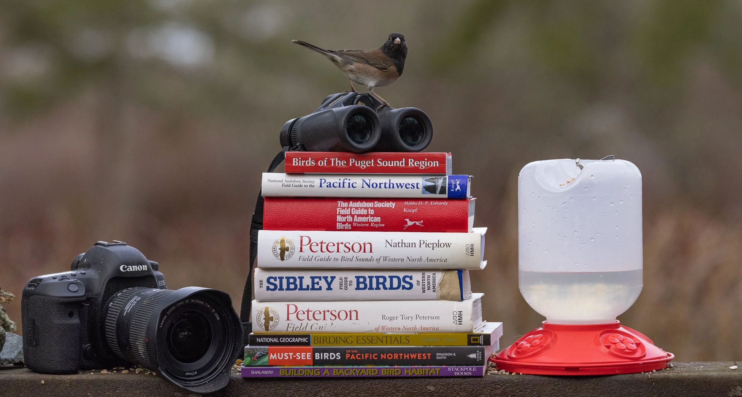 “Small Sits” Expand Accessiblity of Field Trips