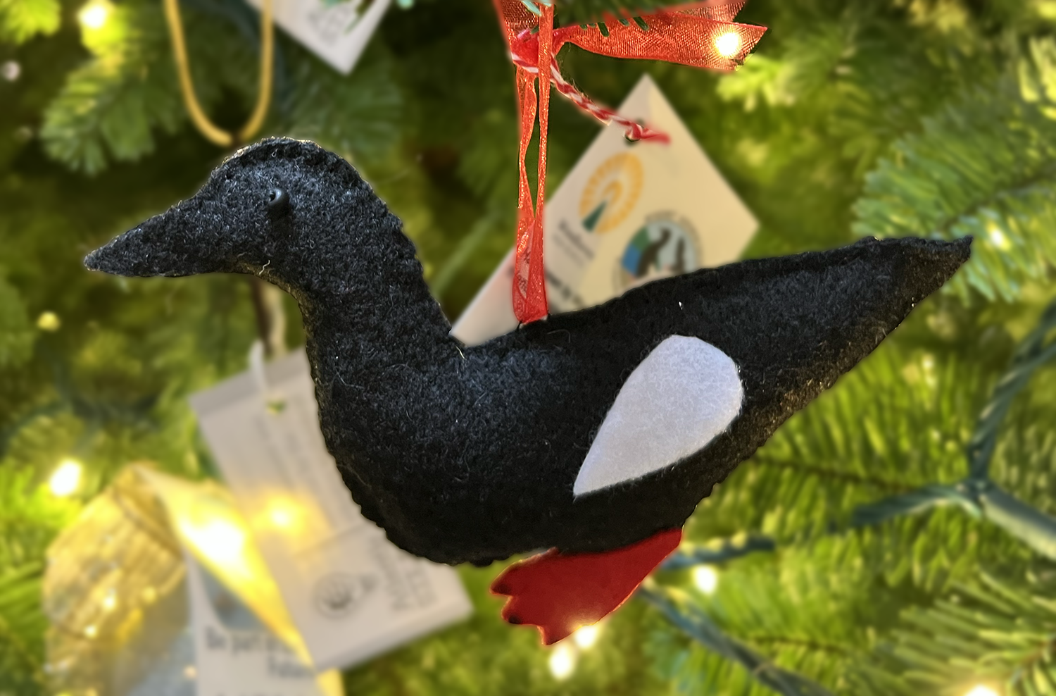 Felted Pigeon Guillemot Ornament by Woodhaven Students to benefit 