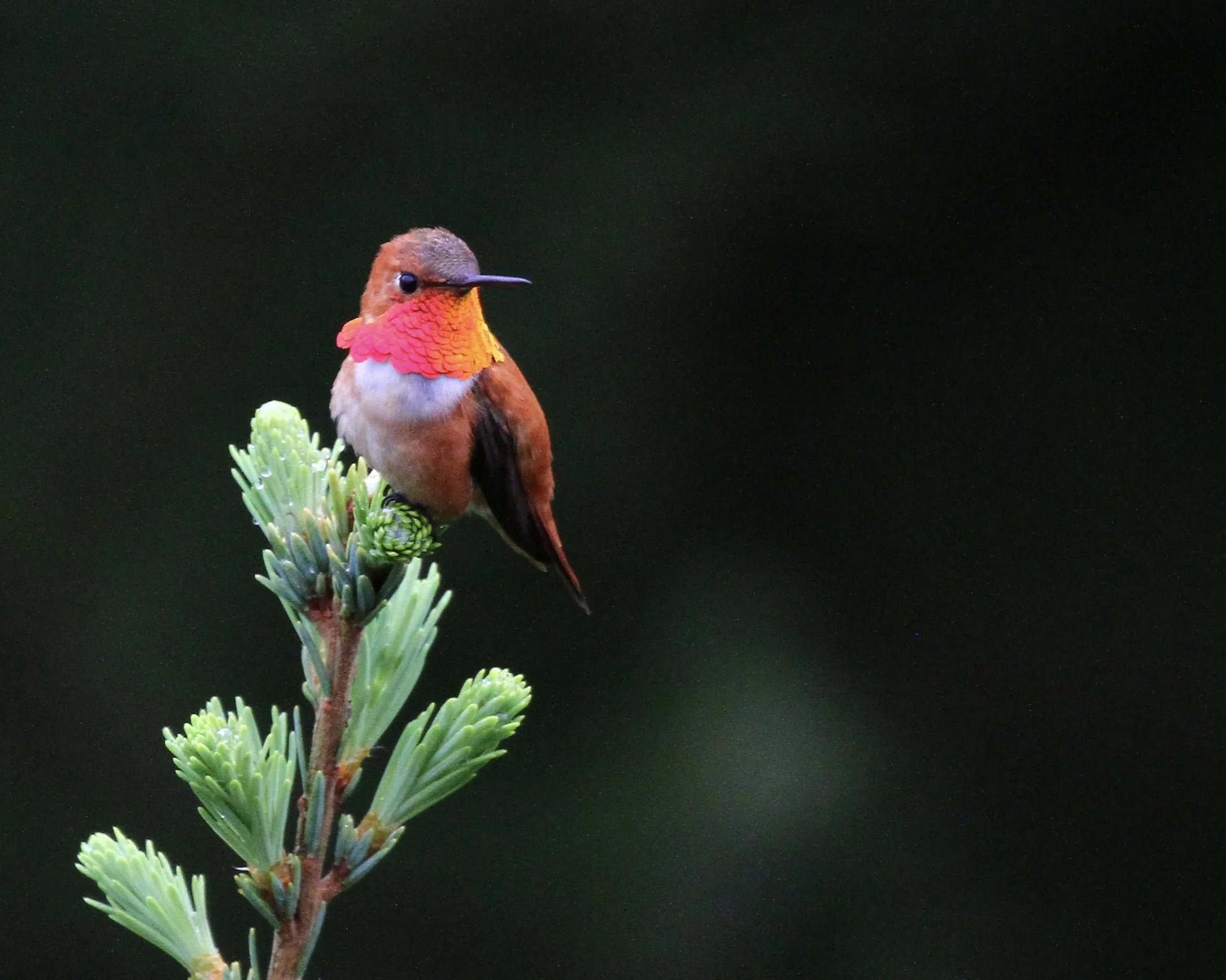 Deer Lagoon Preserve with Paul Bannick and Stef Neis