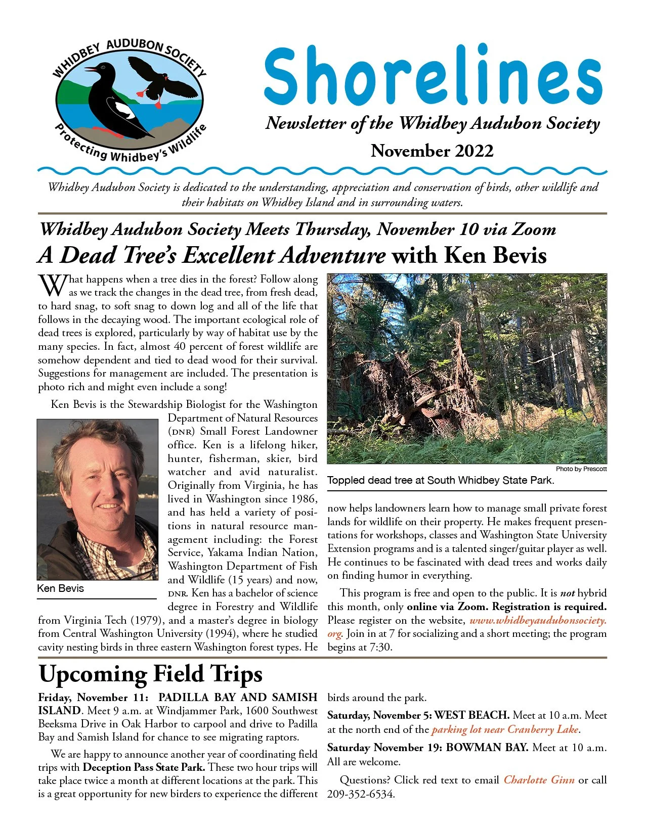 November 2022 Shorelines