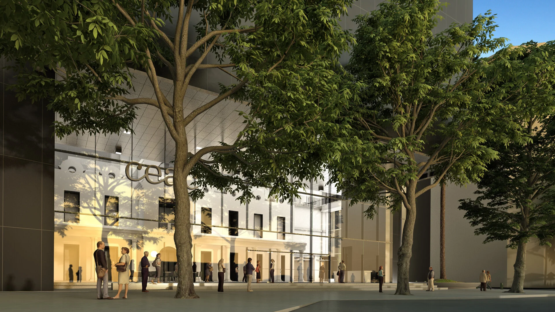 VM20 PRINCIPALES_OCASOPhysCamera003.jpg