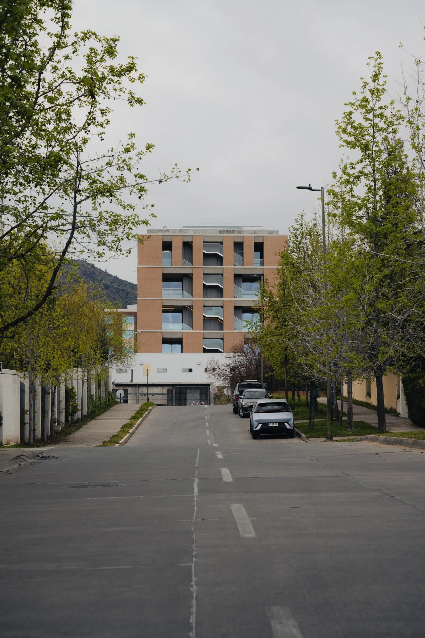 Z72_6072.jpg
