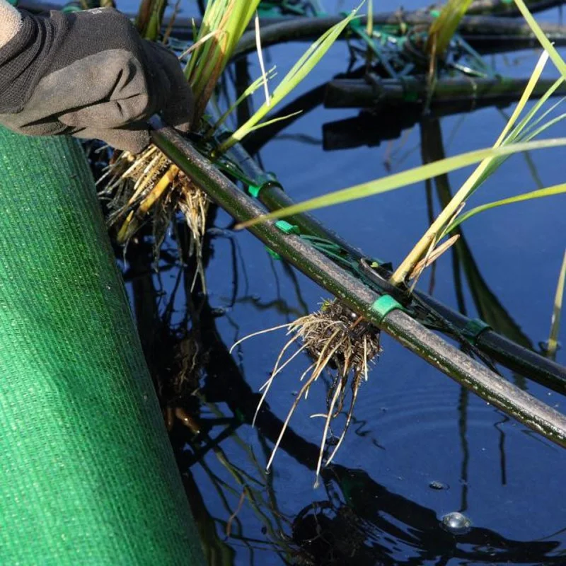 DEPURACIÓN DE AGUAS POR TECNOLOGÍAS DE BAJO COSTE.  EL RESURGIR EN LATINOAMÉRICA EL 31 DE MAYO EN MADRID