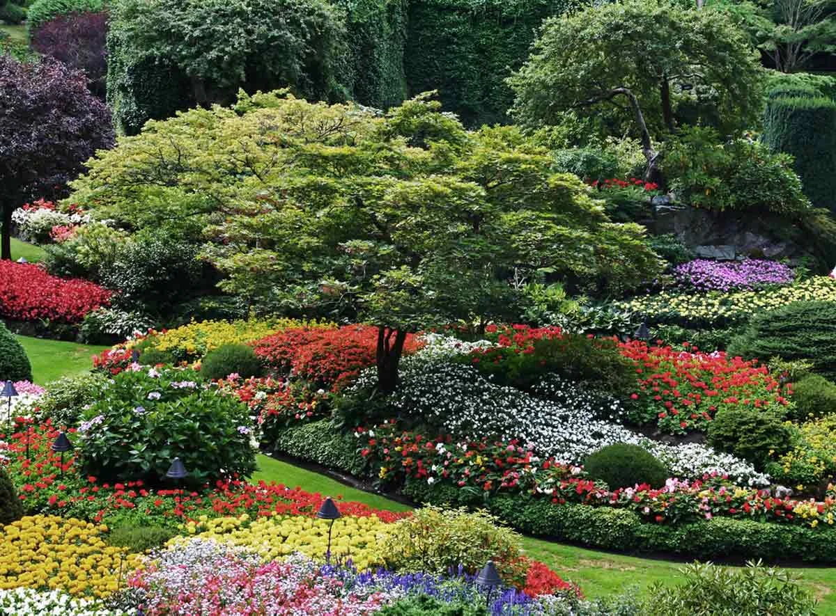 Nueva edición de la Base de Precios Paisajismo