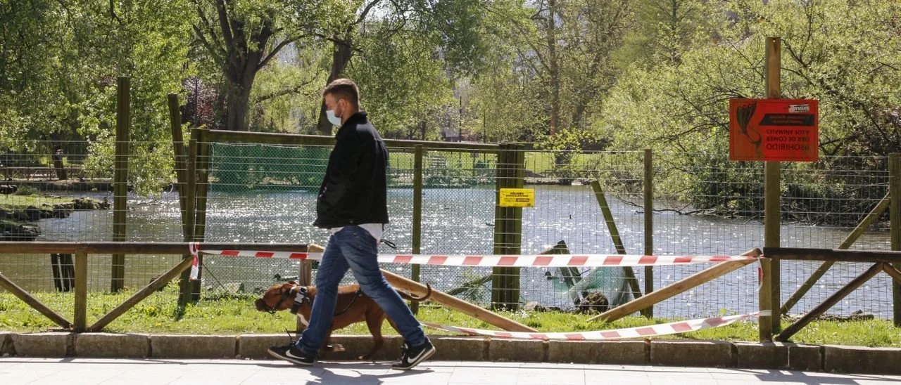 A PLAN TO DEFINE TREE PLANTING FOR 25 YEARS BEGINS