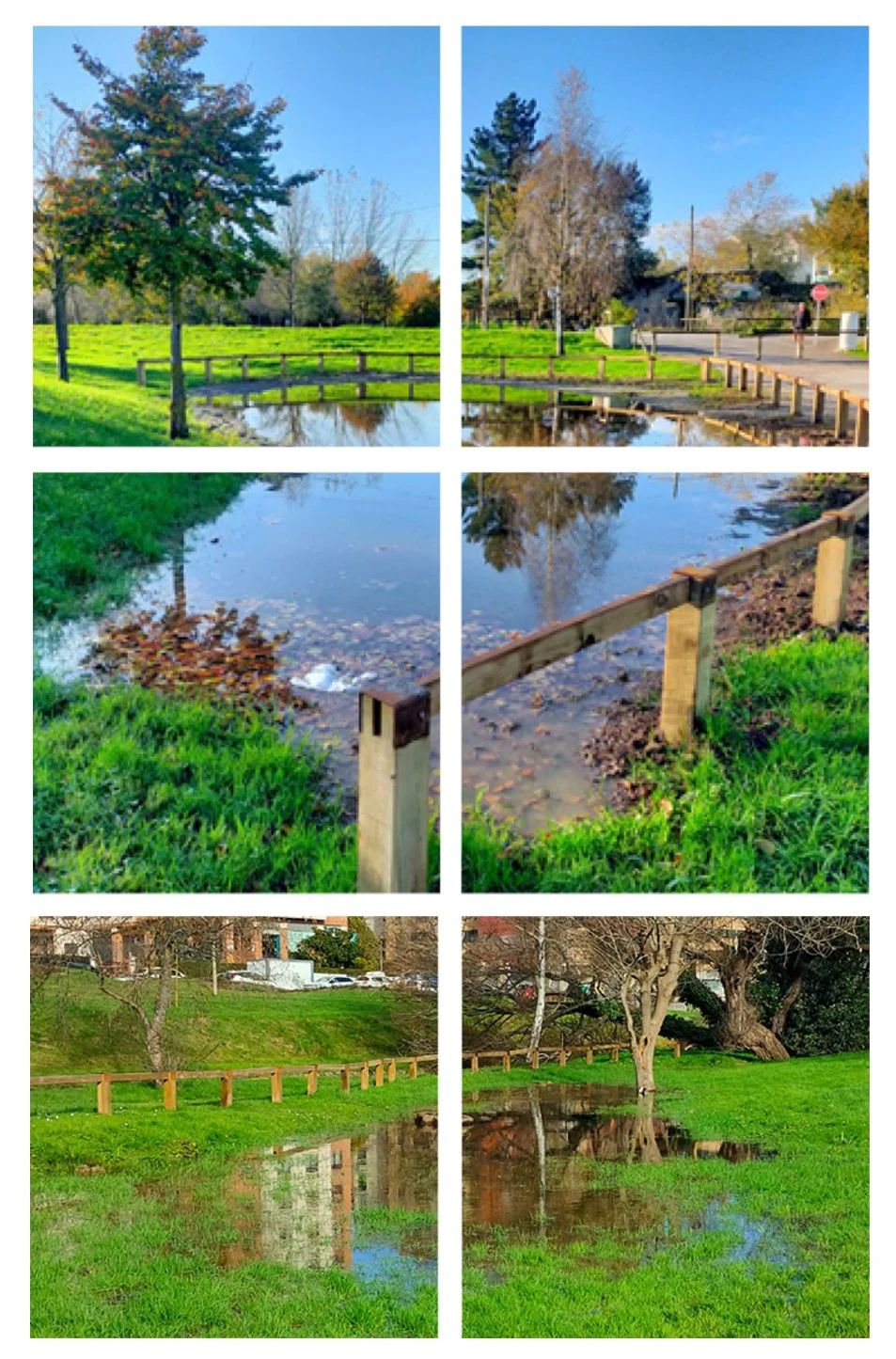 8-JARDINES DE LLUVIA.jpg