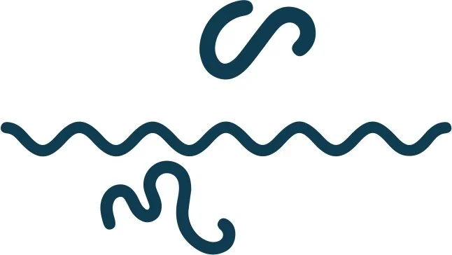 Life Patterns for Polymaths and Prolific People  | DataPsy Inc 