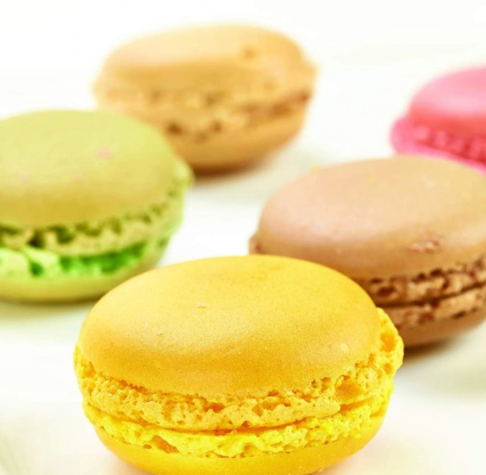 Macaron selection box