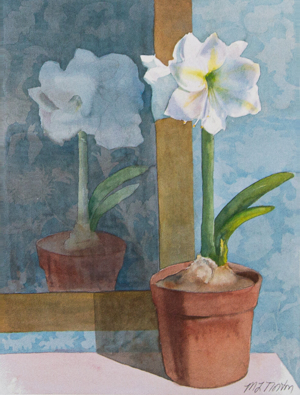 White Amaryllis w/ Mirror