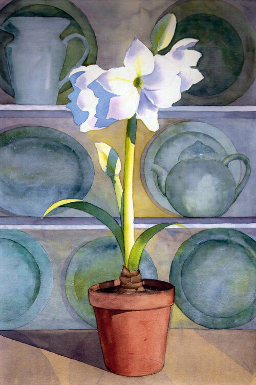 White Amaryllis with Plates