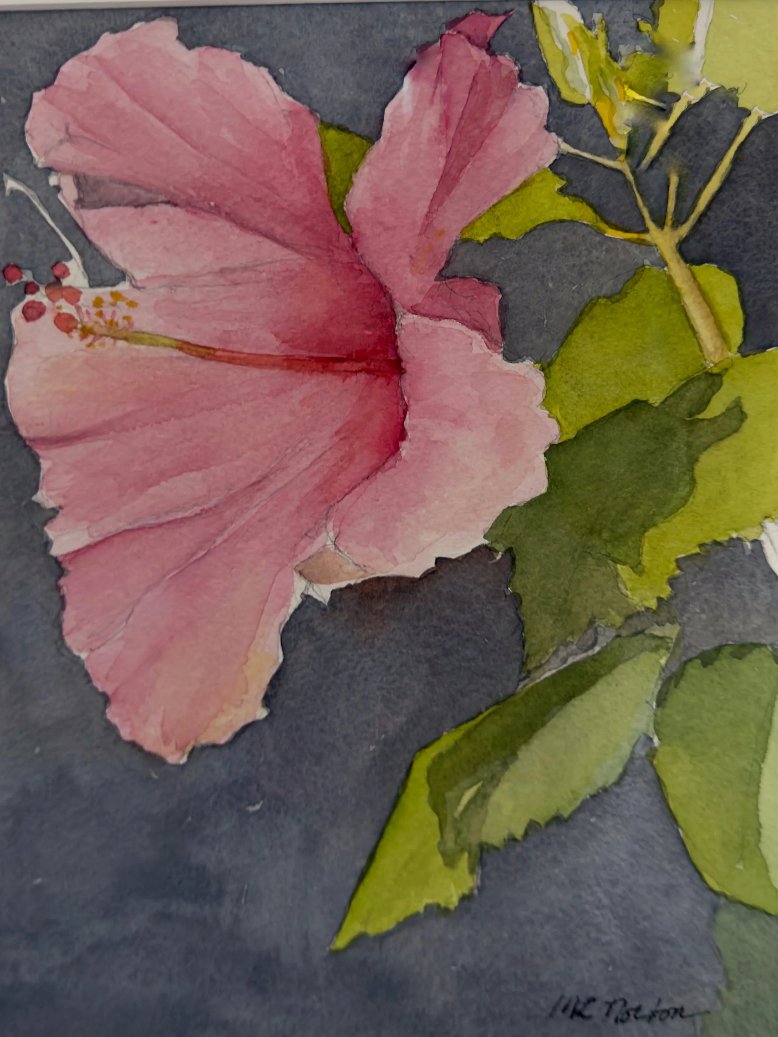 Leaning Hibiscus | 16" x 18" | $950 | Framed