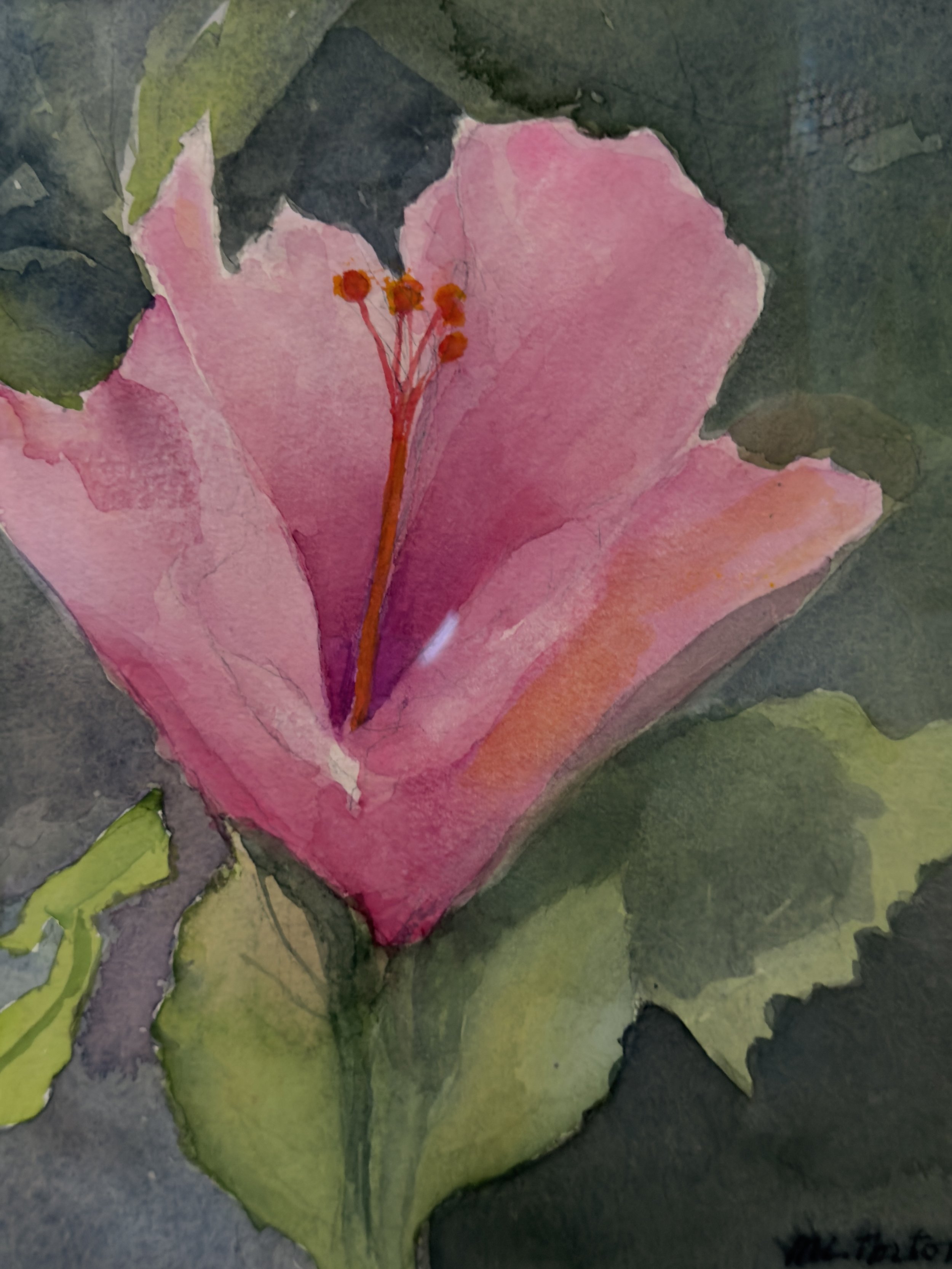 Opening Hibiscus | 16" x 18" | $900 | Framed