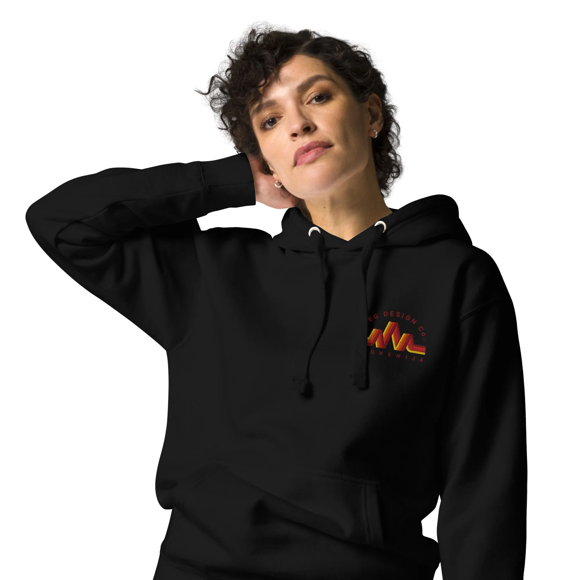 unisex-premium-pullover-hoodie-black-zoomed-in-6ac8b1260ca62.jpg