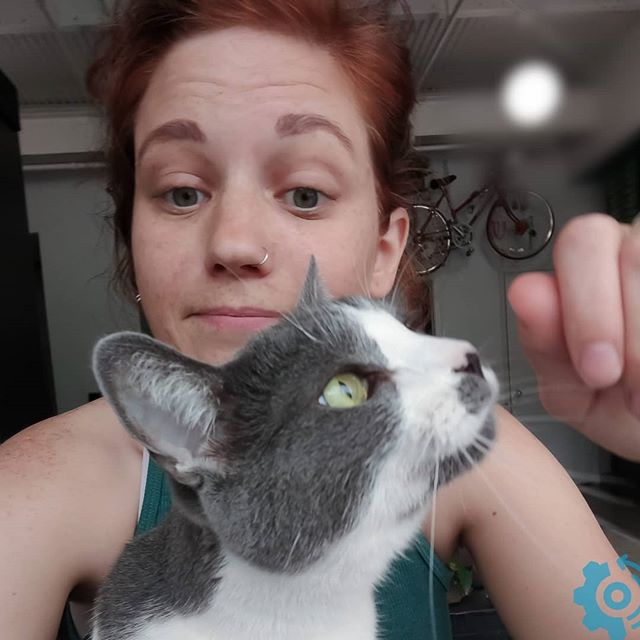 Podcast! I answer some questions about the water industry, life as an engineer, and this little one. 😻 Have a listen! For some reason hearing my own voice is so cringeworthy haha. https://anchor.fm/carla-bright/episodes/Andrea-DuMont---Water-Resourc