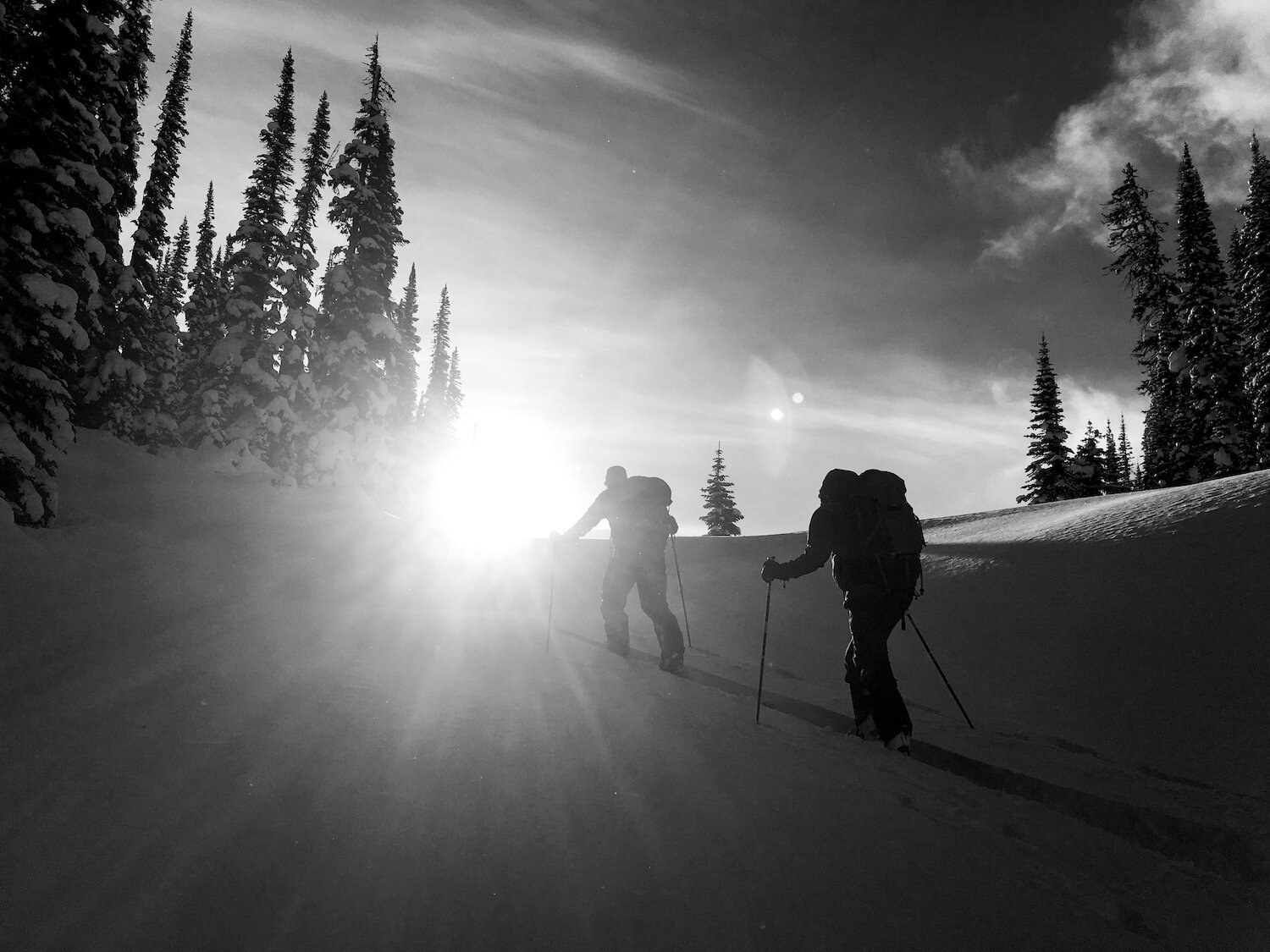 Backcountry ski touring and split boarding near Golden B.C. Aaron Enns A.C.M.G. ski guide