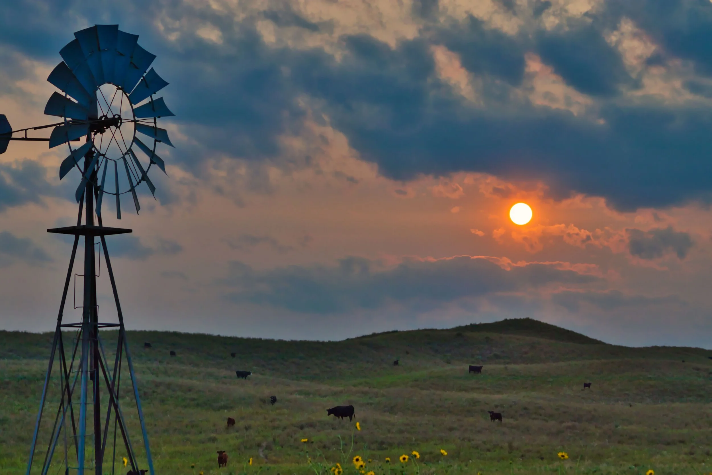 Niobrara Valley Vineyards