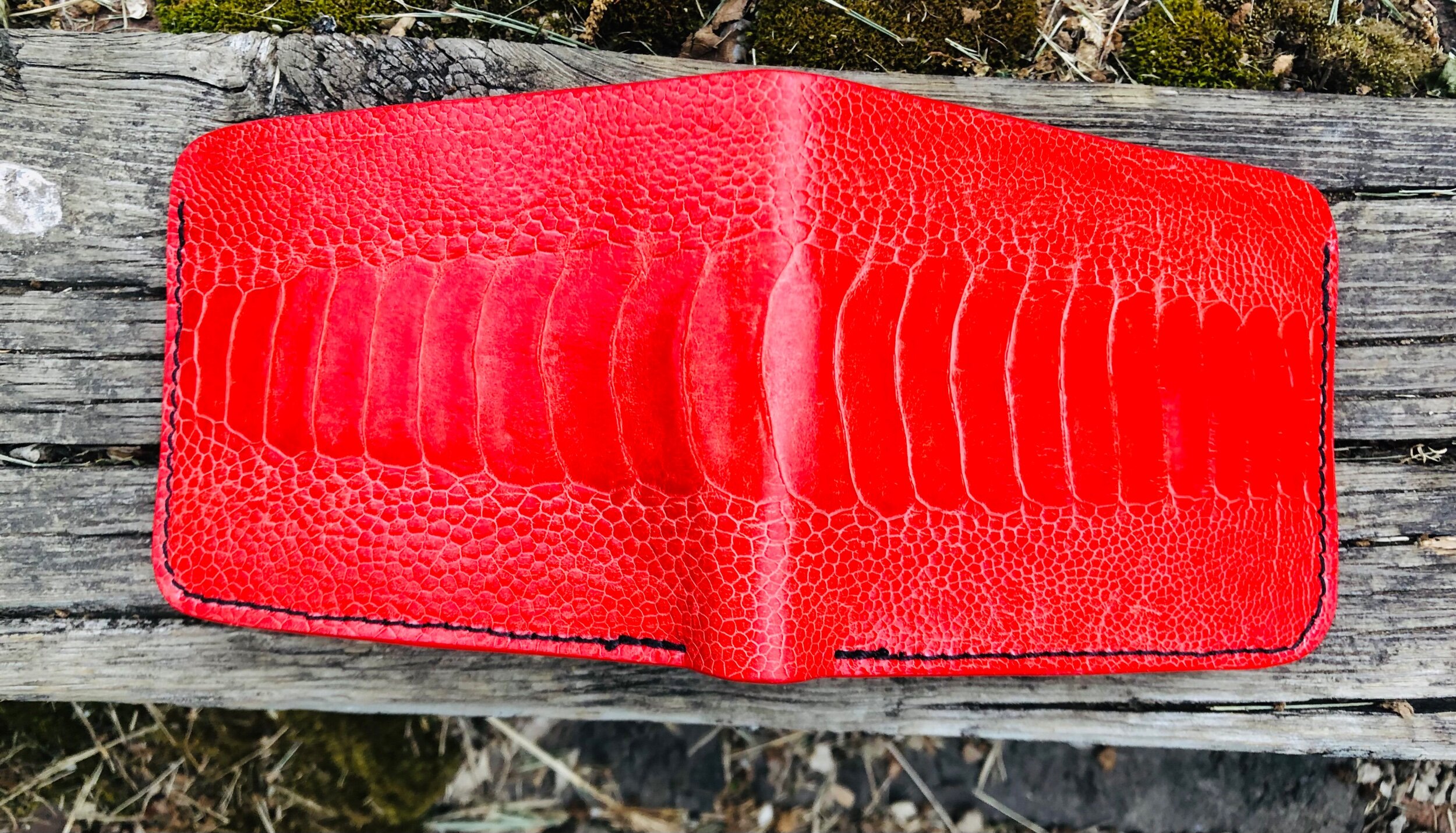 8CB8A01D-5A04-45B8-9588-6C1D1DEB310A