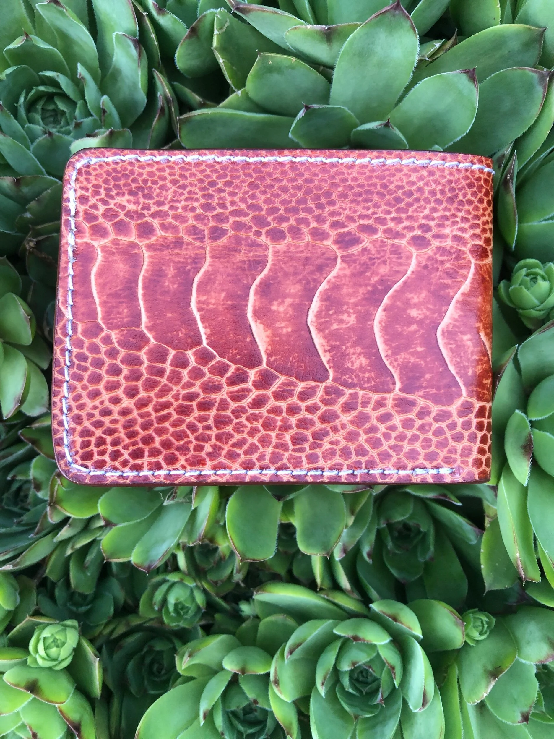 8E854D80-2137-43D3-B2BC-9A9C0AFD5C14