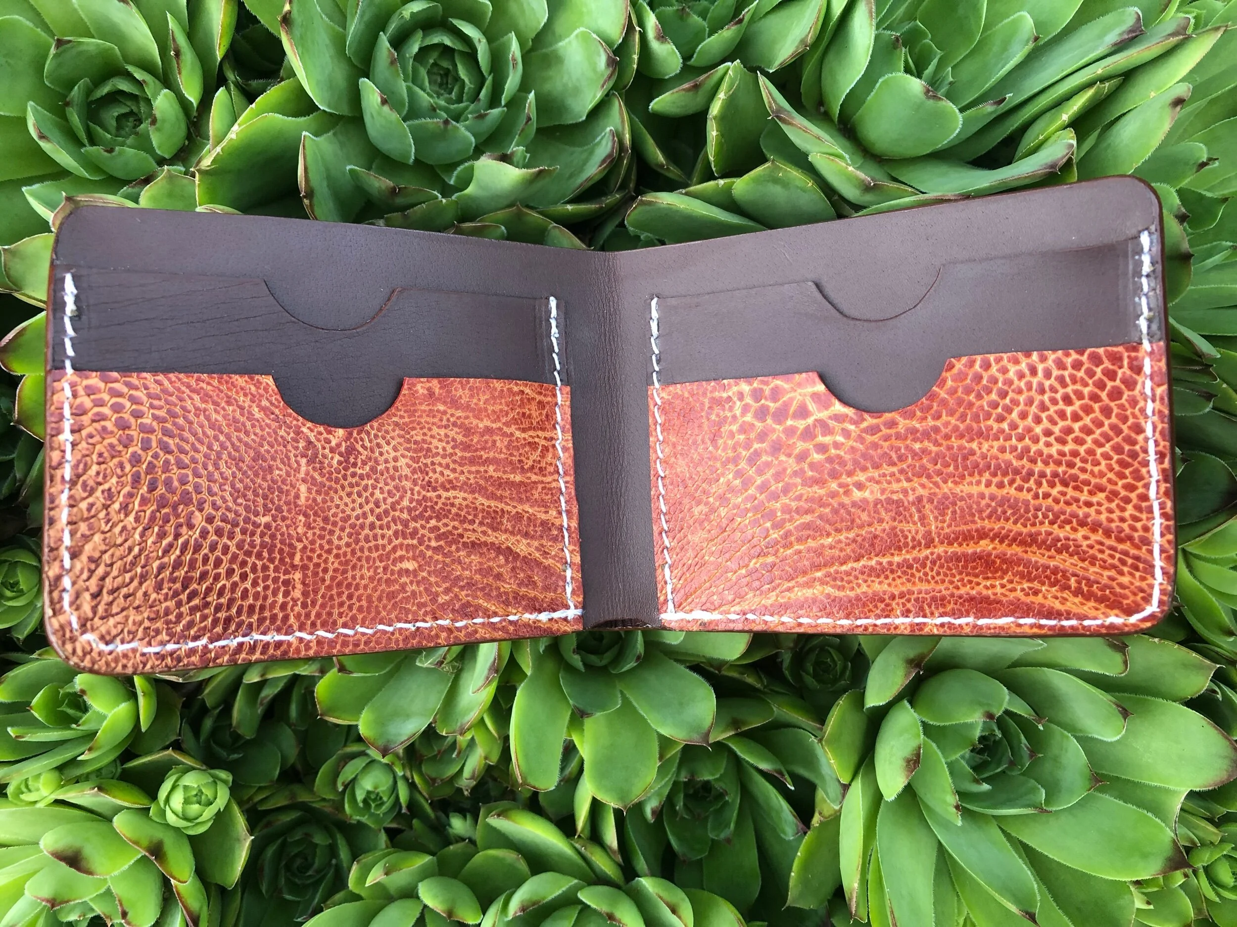 0A95057B-F7DC-471F-8D40-0B50002B2C52