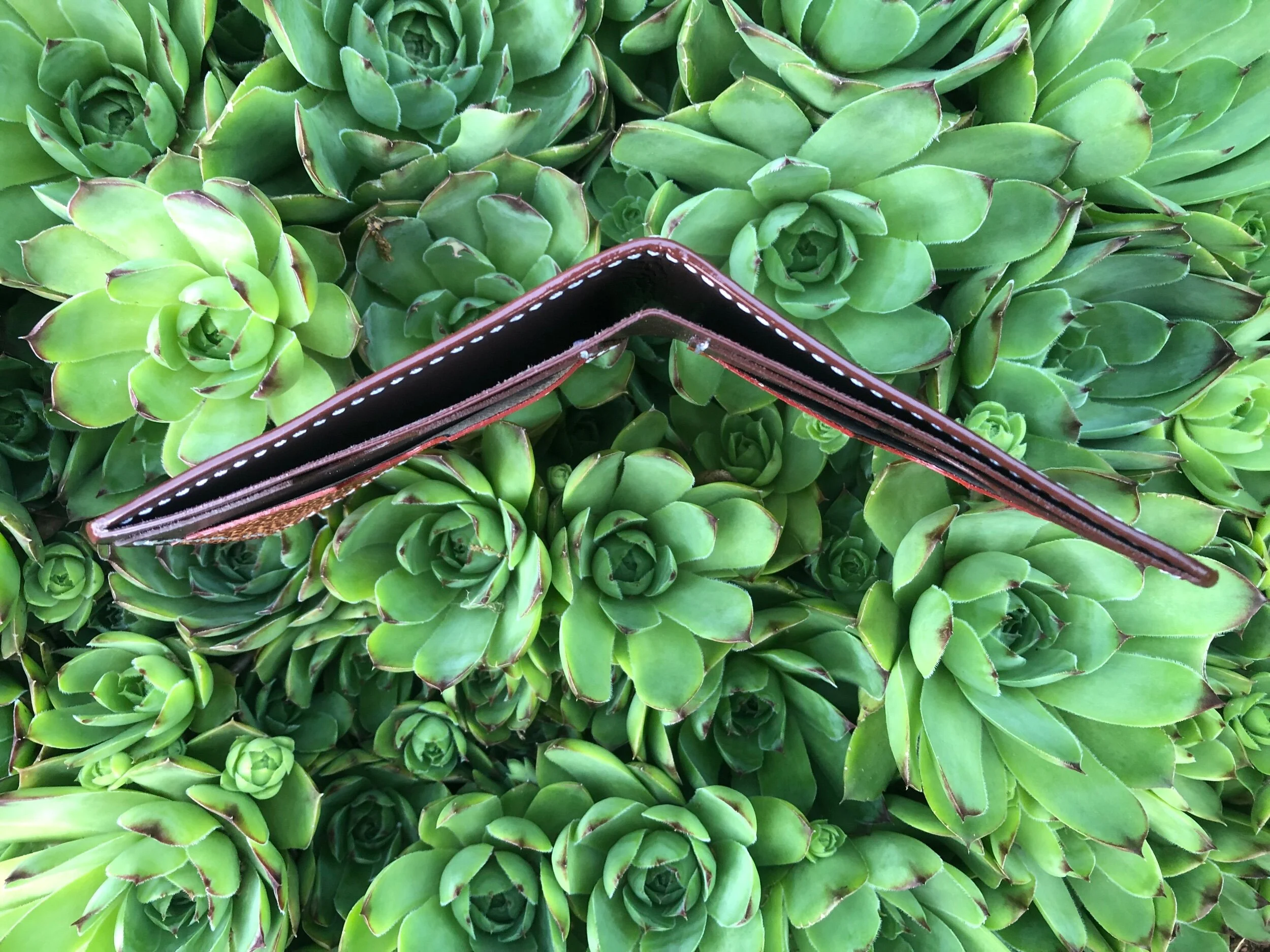 4C6C3E4F-7BAF-48A0-895A-1EEDFF732153