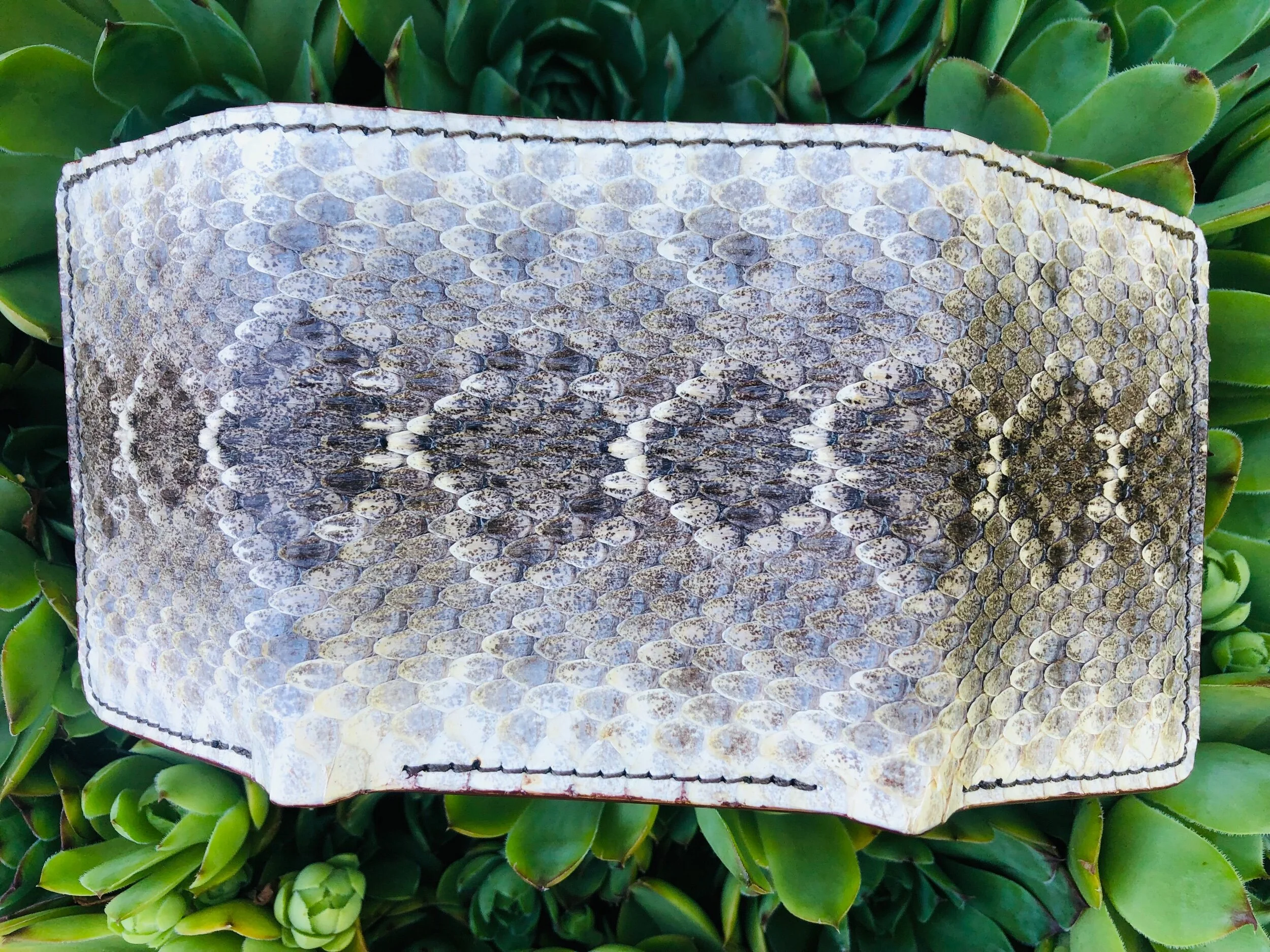 BA34C214-5D18-47DE-840B-9D670AB7DA93