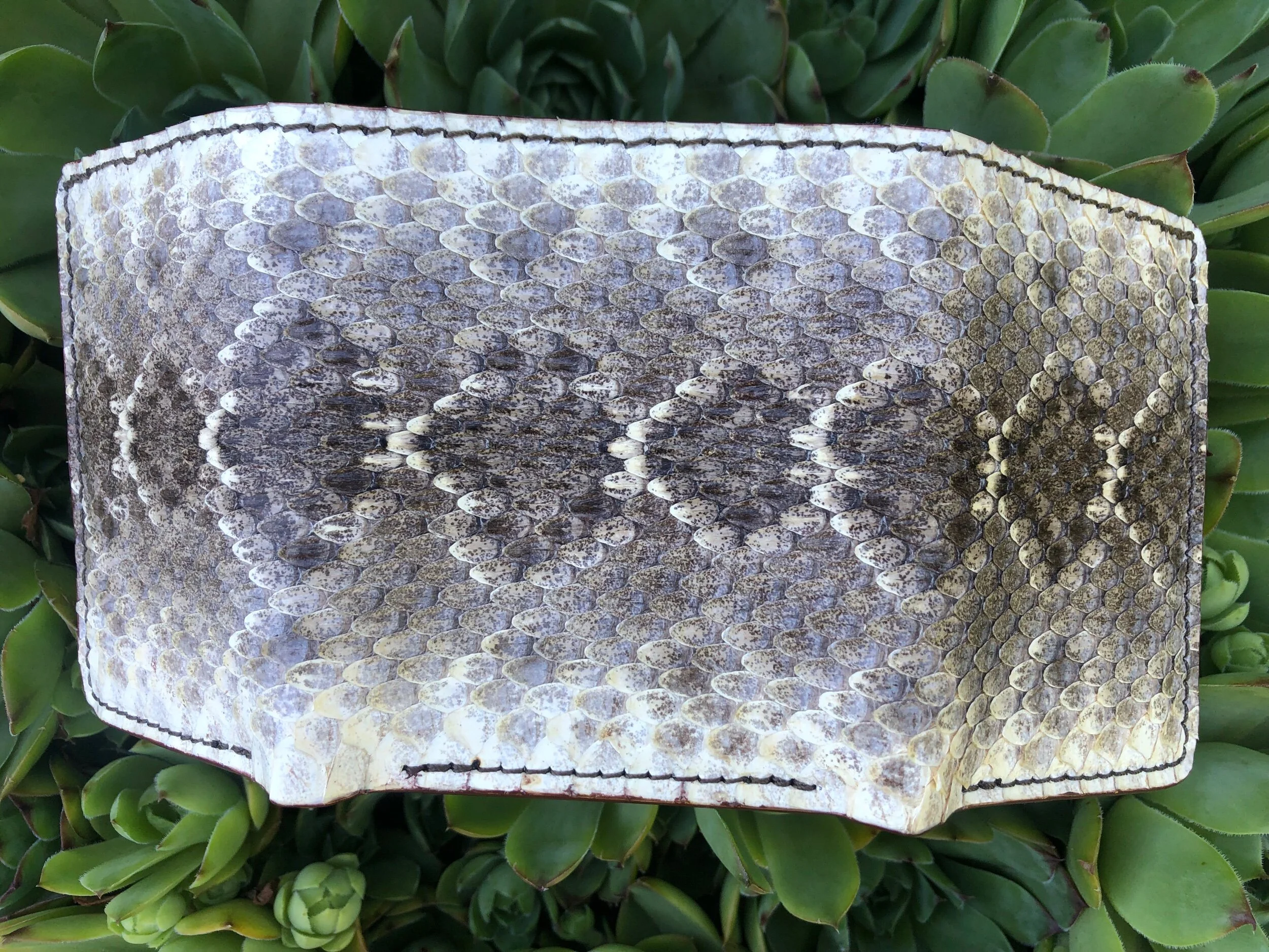 1AEC459F-E4C4-4E9A-9CE1-AD455B5F7C04