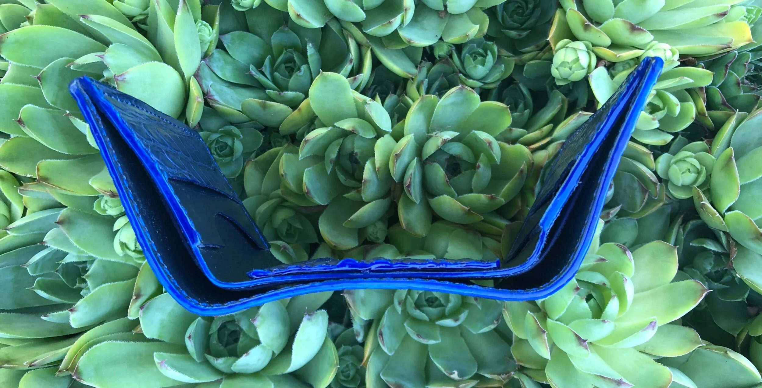 2A8DFD5A-387E-4C02-A3FE-B15F6569DE6D