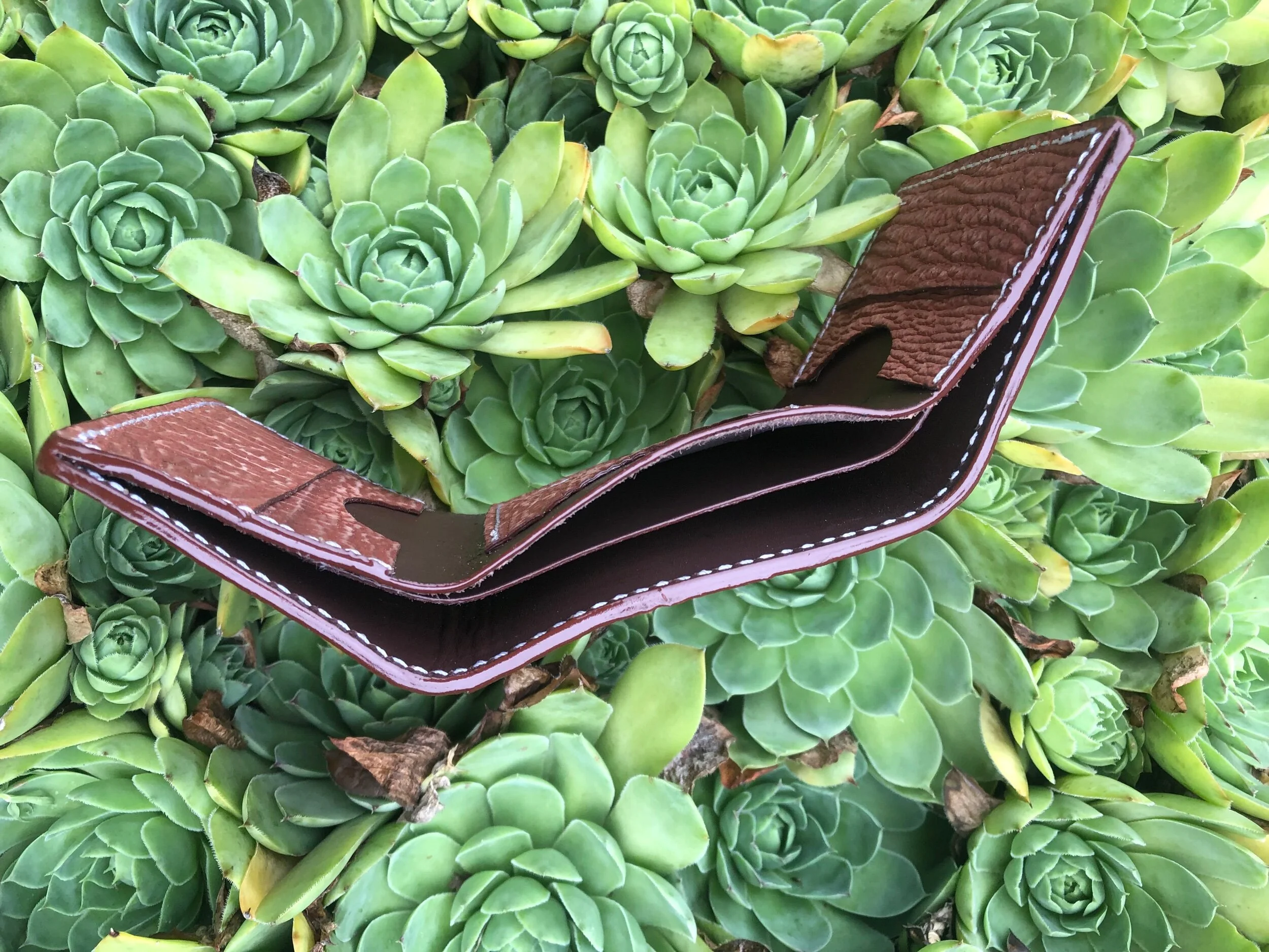 97C84F12-9759-438D-AB26-C9F22B109CBC