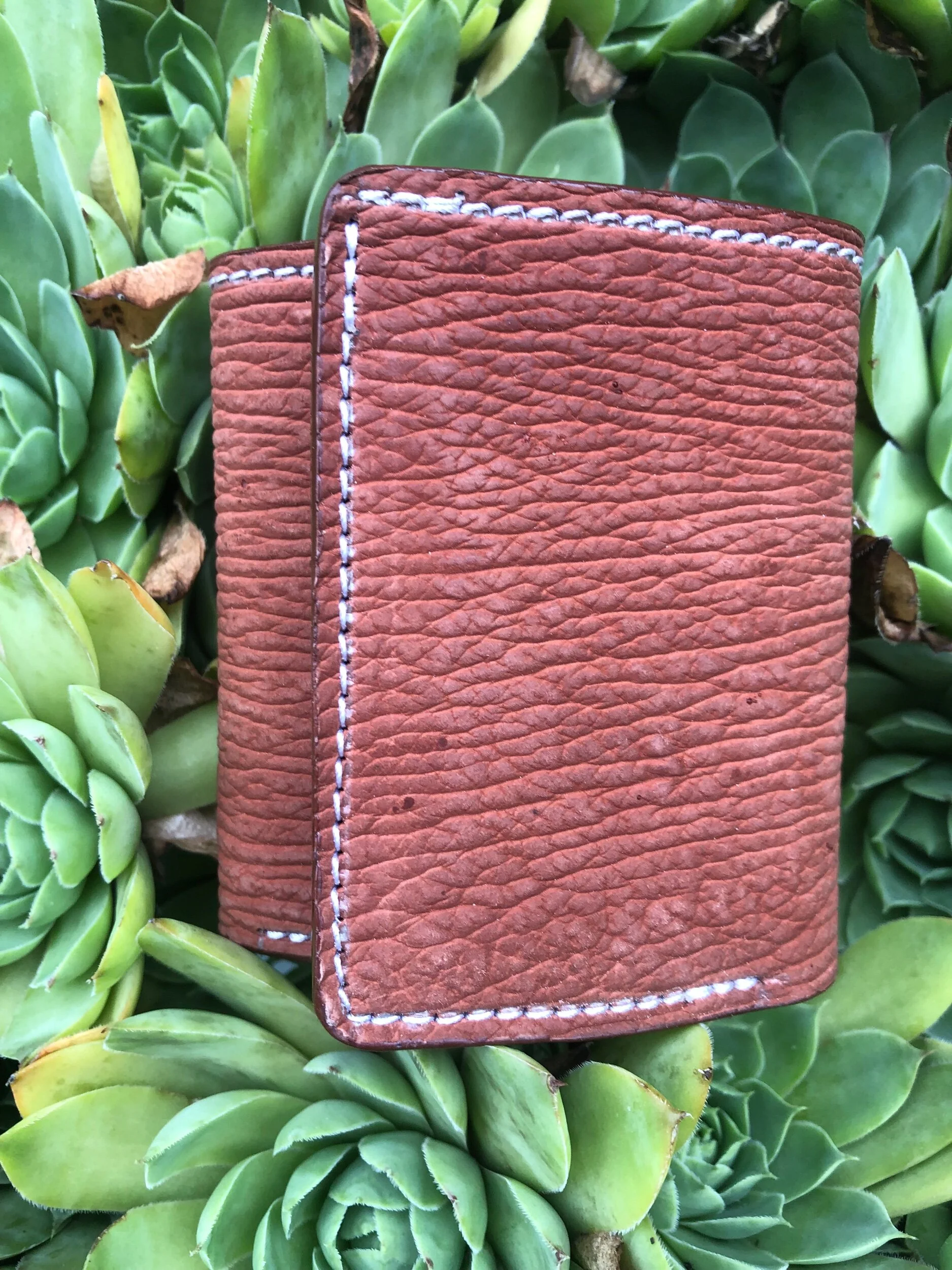 F8105882-8F59-4679-970F-72F62215902E