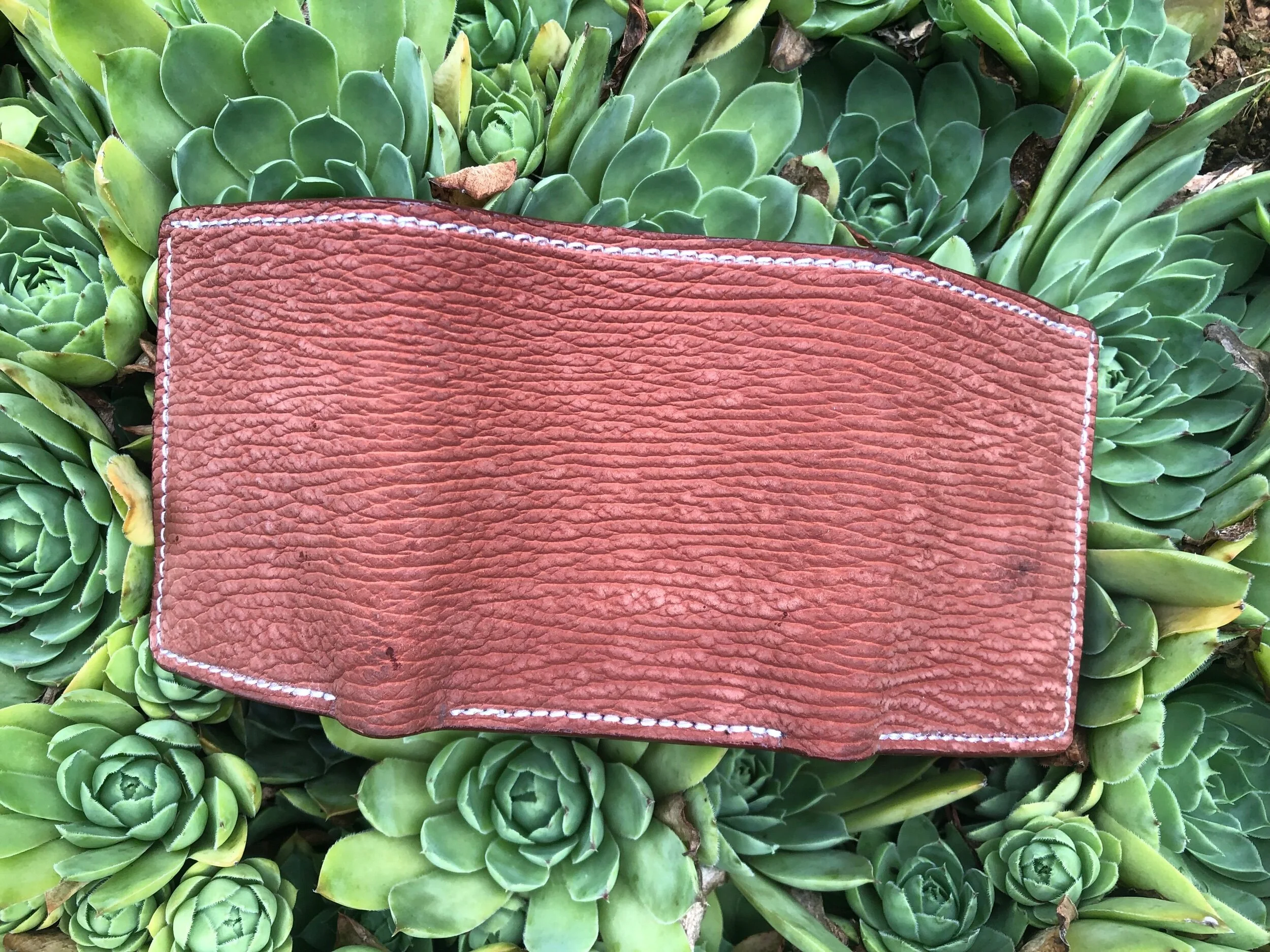 EA382090-8CF4-418C-856A-AE07B11C09F1